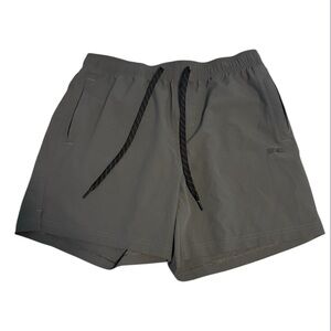 American Eagle Outfitters Men's Gray Shorts